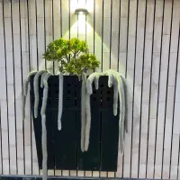 فروش ویلا ۱۲۰ متری نوساز صفاییه /۳ خواب