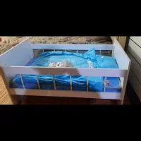 تخت بچه و کریر|اسباب و اثاث بچه|دهدشت, |دیوار