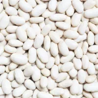 لوبیاسفیددرختی