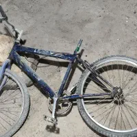 دوچرخه معاوضه با کبوتر