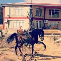 سرایدار ویلا با تمام امکانات رفاهی با خانواده