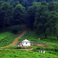 یک-هم-خونه-خانوم-میخوام