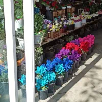 شریک برای تولیدی میپذیریم|استخدام صنعتی، فنی، مهندسی|اراک, |دیوار