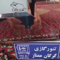 تنورگازی