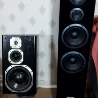 بلند گو پایونیر