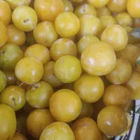 حراج آلو خوب و لواشکی