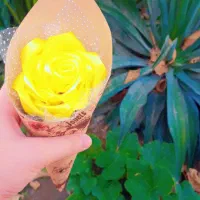 گل برای روز دانش آموز|گل مصنوعی|جاسک, |دیوار