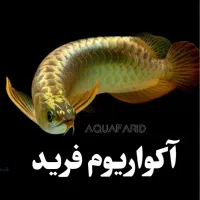 آکواریوم و ماهی فروشی فرید