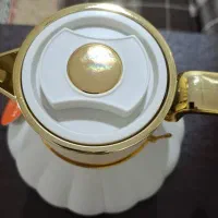 فلاسک فنیک|قوری، کتری، قهوه‌ساز دستی|اهواز, گلستان|دیوار