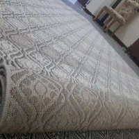 موکت فرشی ظریف مصور|موکت|ری, دیلمان|دیوار