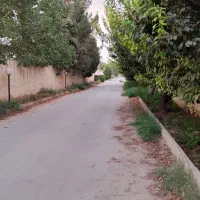 زمین باغی آماده ساخت ویلا۴۵۶متری کردان.تهراندشت|فروش زمین و ملک کلنگی|کرج, عظیمیه|دیوار