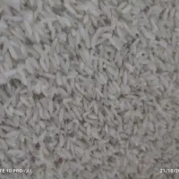 نیمدانه وسالم