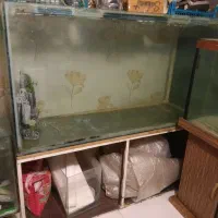چند عدد آکواریوم|ماهی|تهران, گلاب دره|دیوار