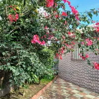 ویلامبله-192-متر-سند-دار-در-کاله