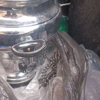 سماور برقی|سماور، چایساز، قهوهساز|ارومیه, |دیوار