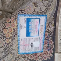 3عدد فرش 6متری|فرش|بروجرد, |دیوار