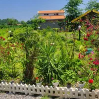 اجاره روزانه باغ ویلا ۵۰۰۰ متری دربست/ جاده فومن|اجارهٔ کوتاهمدت ویلا و باغ|رشت, پسیخان|دیوار