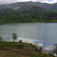 زمین کشاورزی برای اجاره