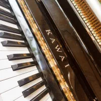 انواع پیانو اکوستیک|پیانو، کیبورد، آکاردئون|بندرعباس, |دیوار