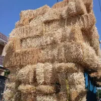 پرس شمال کلاله