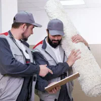 استخدام راننده و کمک کار حمل قالی در قالیشویی