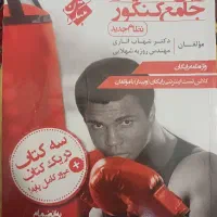 زبان جامع مبتکران