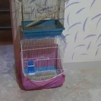 دو عدد قفس پرنده نیروی دریایی نارمک|لوازم جانبی حیوانات|تهران, نیروی دریایی|دیوار