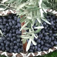 خوردن و آشامیدن