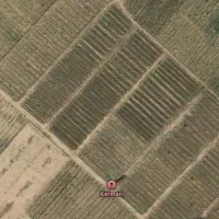 زمین پسته ای