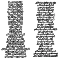 کتاب های کمک درسی رشته ی تجربی