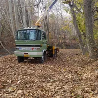 جرثقیل سه تن خاورالی 100تن جهت خدمات وهمکاری