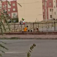 آپارتمان مشابه ۸۵ متری/دوخواب/کاسبی/گلبهار|فروش آپارتمان|گلبهار, شهر جدید گلبهار|دیوار