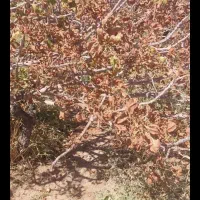 24ساعت اب تلمبه شمس اباد