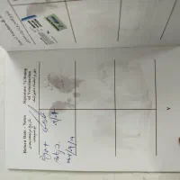 سگ سه ماه .|سگ|ری, دیلمان|دیوار