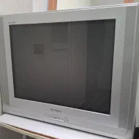 تلویزون 29 اینج سامسونگ سالم سالم تا حالا باز نشده|تلویزیون و پروژکتور|دهگلان, |دیوار