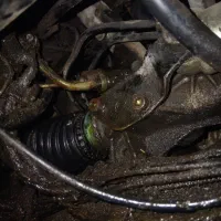 زانتیا تعمیرکمک زانتیا