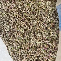 خریدار پوست پسته و مغز۲ و روابی وخاک پسته