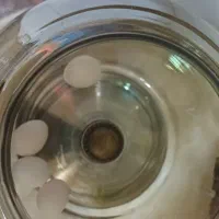 یک جفت مولد برزیلی|پرنده|نهاوند, |دیوار