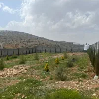 فروش-باغ