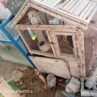 قفس چوبی بزرگ|لوازم جانبی حیوانات|چابهار, |دیوار