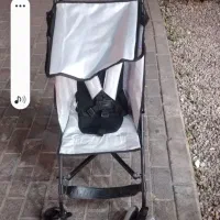 کالسکه عصایی