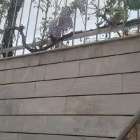 فروش-ویلایی-چهار-طبقه-روی-پیلوت