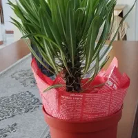 وسایل منزل...