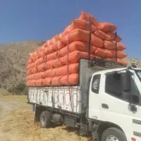 خرید فروش انواع نهاده های دامی به صورت شبانه روزی