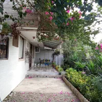 محیطی آرام و دلنشین نزدیک به کوه و جنگل و دریا