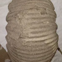 سنگ فسیل