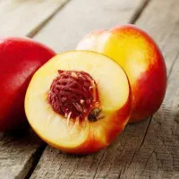 پیش فروش نهال شلیل مغان|خدمات باغبانی و درختکاری|سیوان, |دیوار