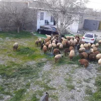 خانه ویلایی روستایی