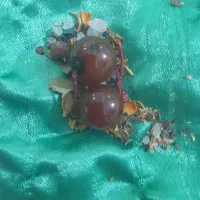 مهره اصل فعال