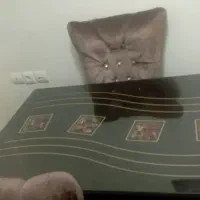 میز ناهار خوری